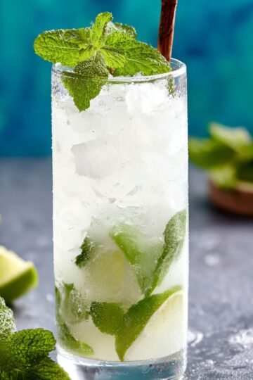 A tall, chilled glass of coconut mojito filled with crushed ice, lime slices, and mint leaves, garnished with fresh mint sprigs on top.